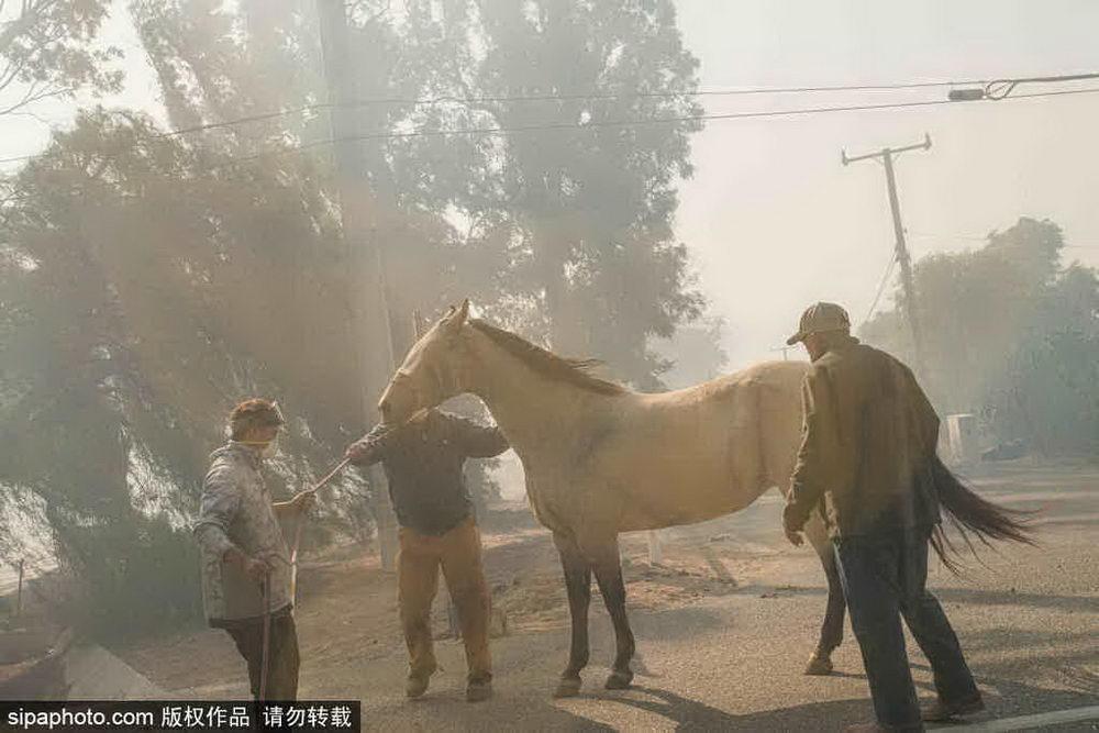 洛杉磯山火失控，災(zāi)難背后的警示與思考