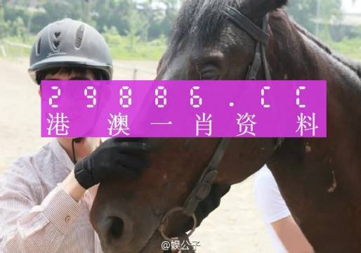 澳門今晚一肖必中特+游戲版33.100_動(dòng)態(tài)詞語解釋落實(shí)