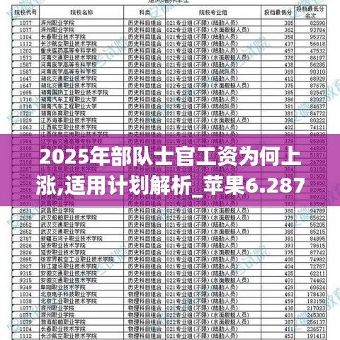 2025軍人漲薪最新消息公布+復(fù)古版57.962_細化方案和措施