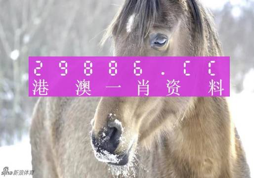 澳門一肖一碼100%精準(zhǔn)一+網(wǎng)頁版40.559_精密解答落實(shí)