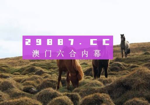 舊澳門開獎(jiǎng)結(jié)果2025開獎(jiǎng)記錄+RX版39.454_效率解答解釋落實(shí)